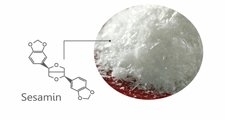 The Physical property of sesamin