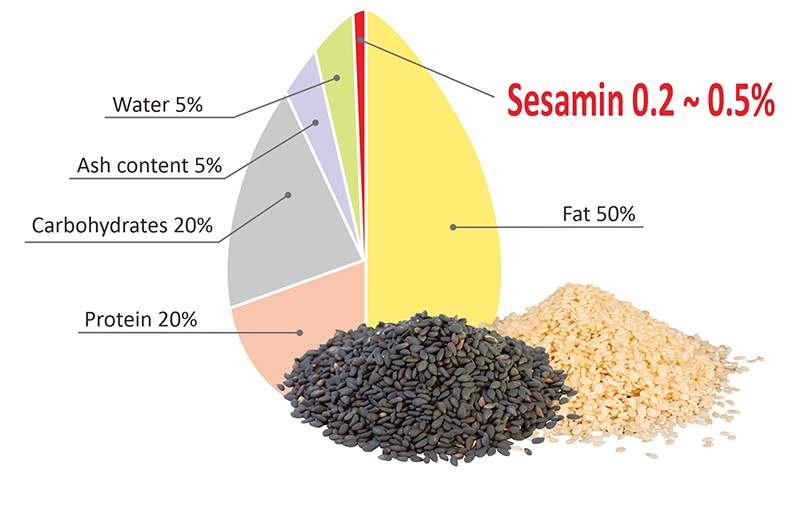 Sesamin and sesamolin is the main contains in sesame. Sesame seeds are composed of 5% water, 23% carbohydrates (including 12% dietary fiber), 50% fat, and 18% protein.
